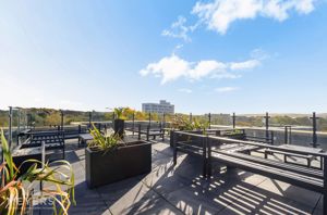 Rooftop Area- click for photo gallery